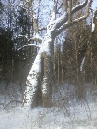 26231291_10156121648737806_7140162237687348728_n (1)